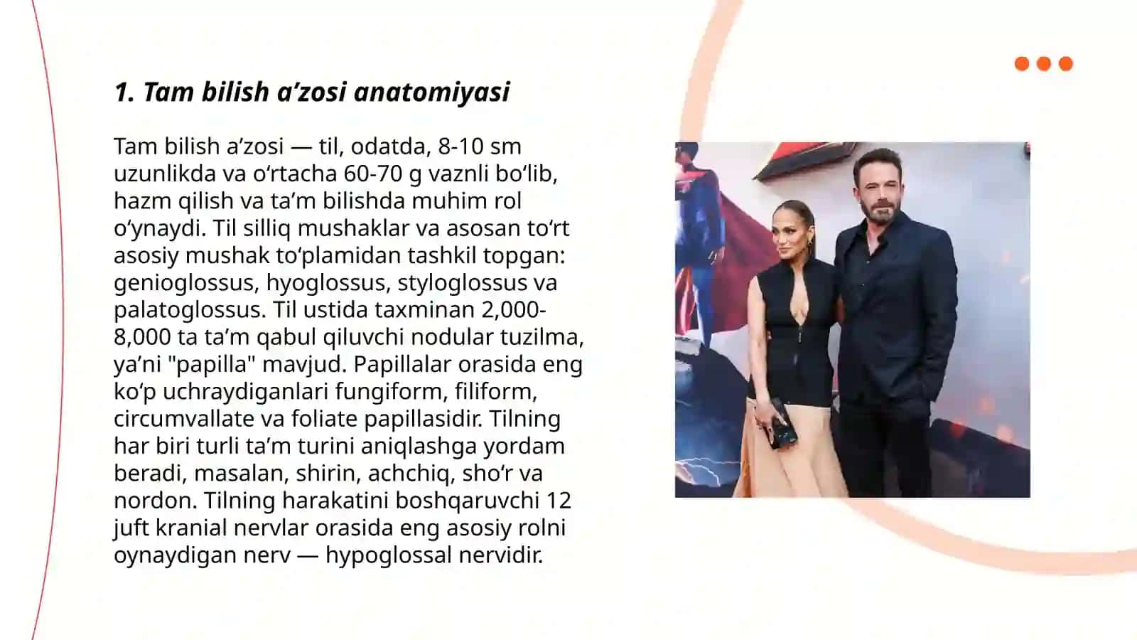 Tam bilish aʼzosi anatomiyasi 3