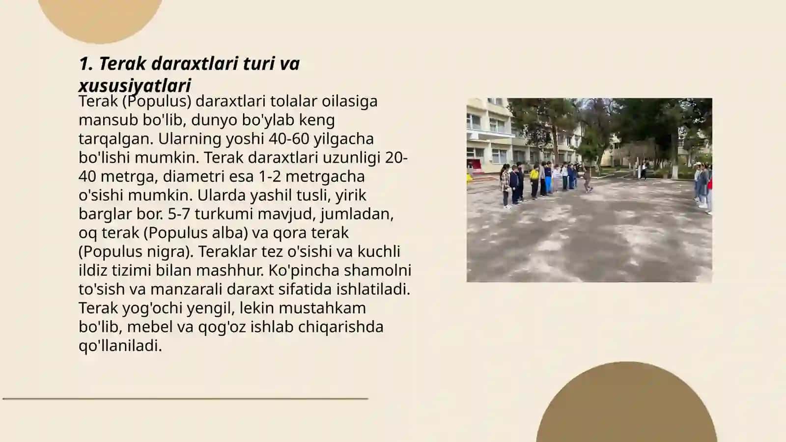 Oq terakmi koʻk terak harakatli oʻyini 3