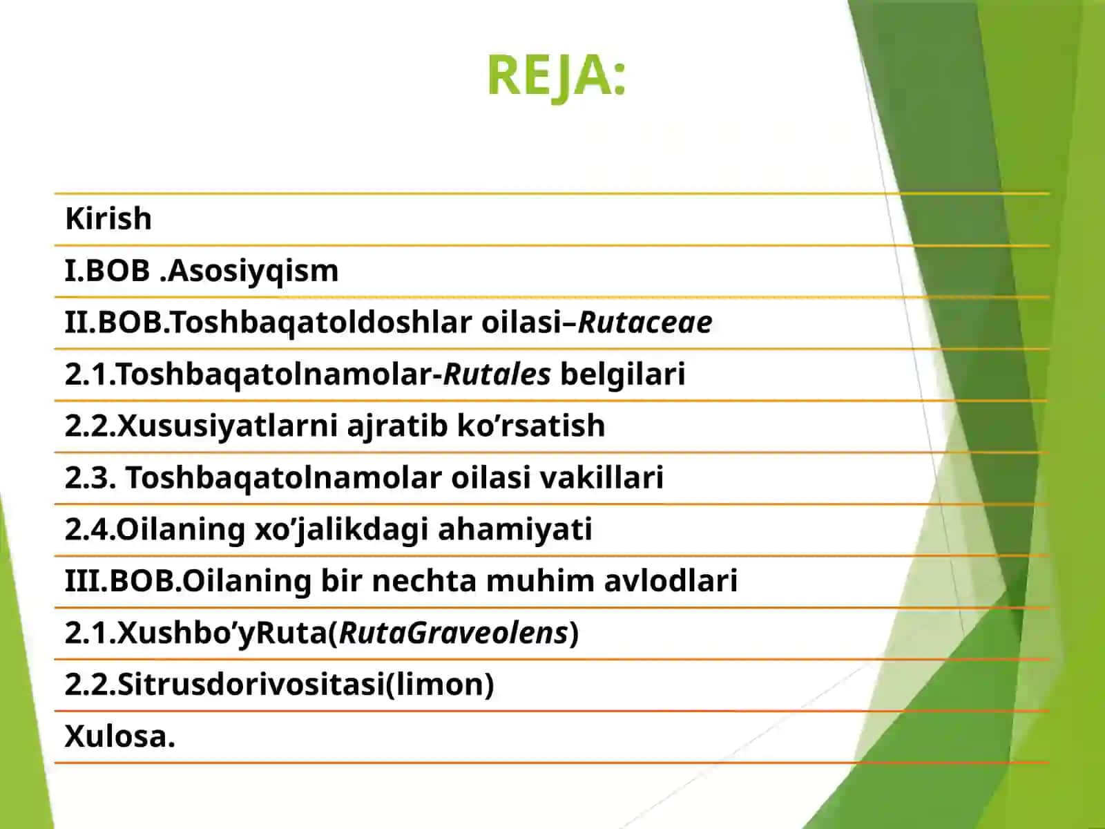 Toshbaqatolnamolaroilasi 3