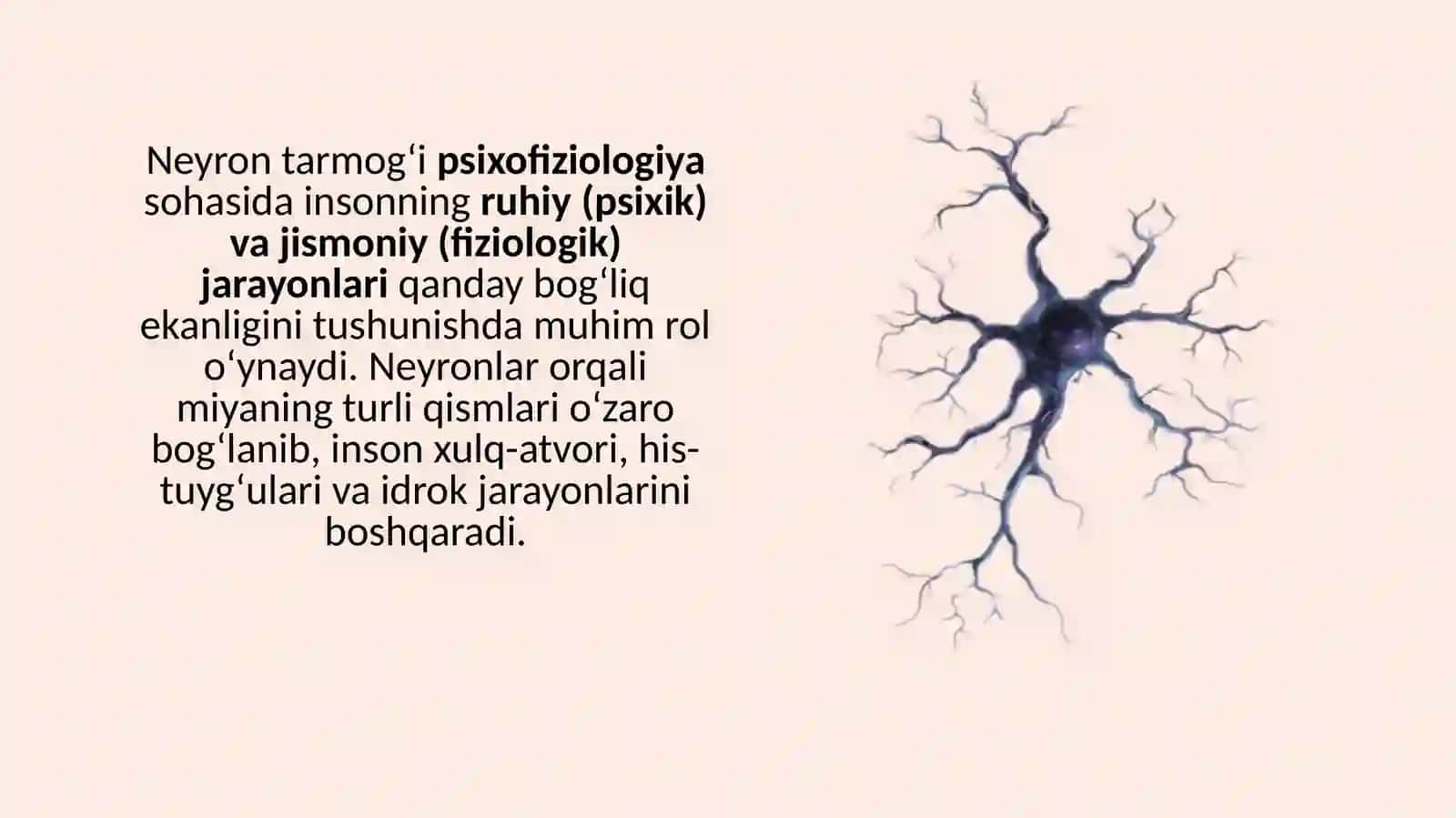 Neyrontarmoqlari 3
