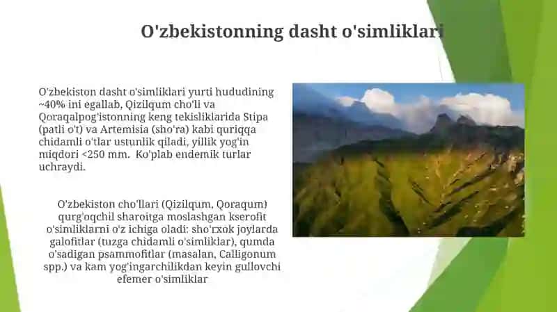 O'zbekistonning dasht o'simliklari 3