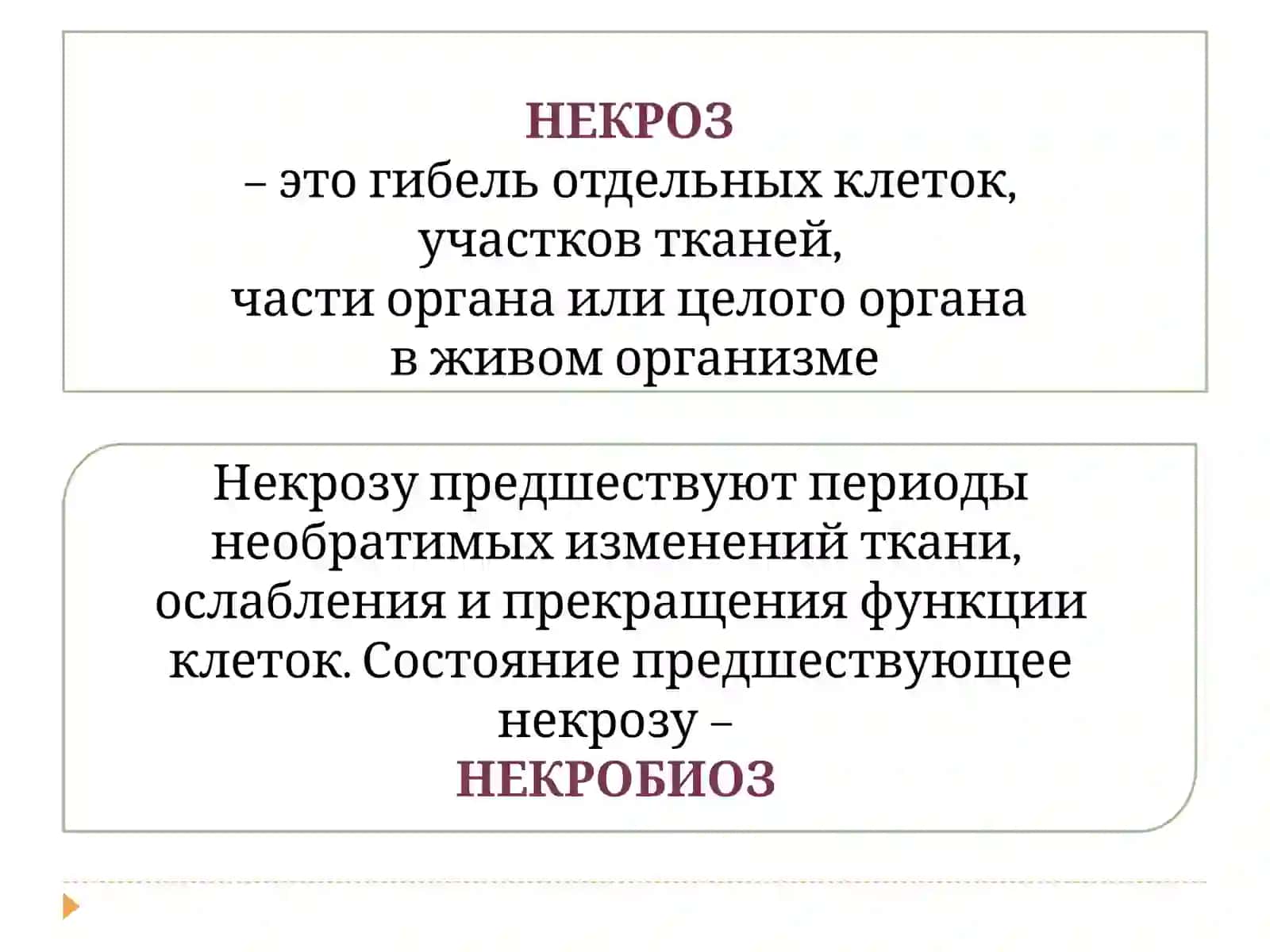 НЕКРОЗ. АТРОФИЯ.АПОПТОЗ 3