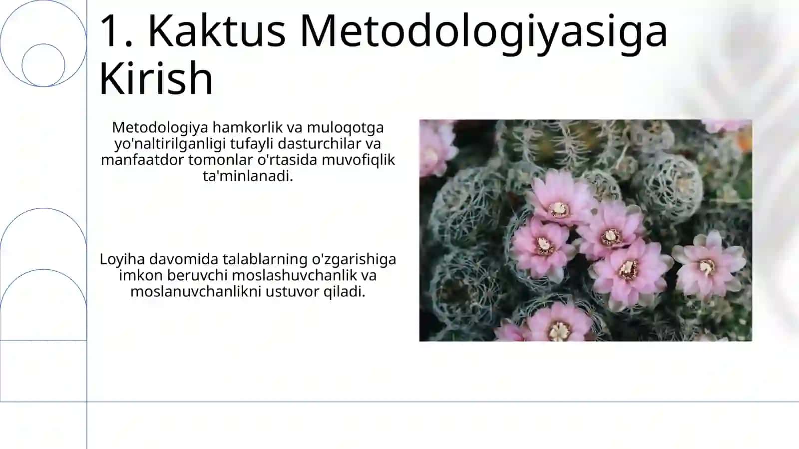 “Kaktus” metodikasi haqida 3