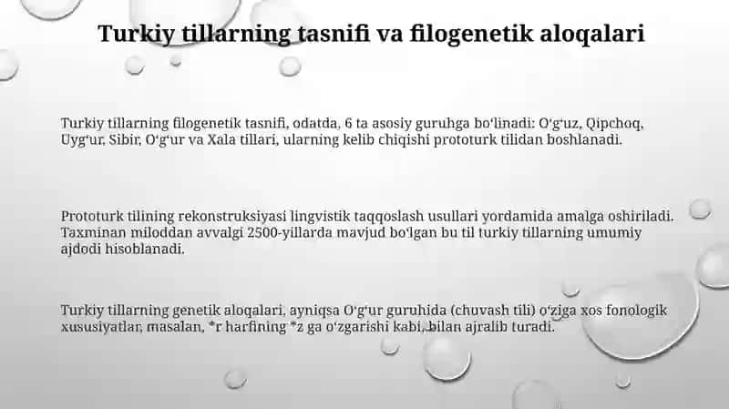 Turkiy tillar tasnifi 3