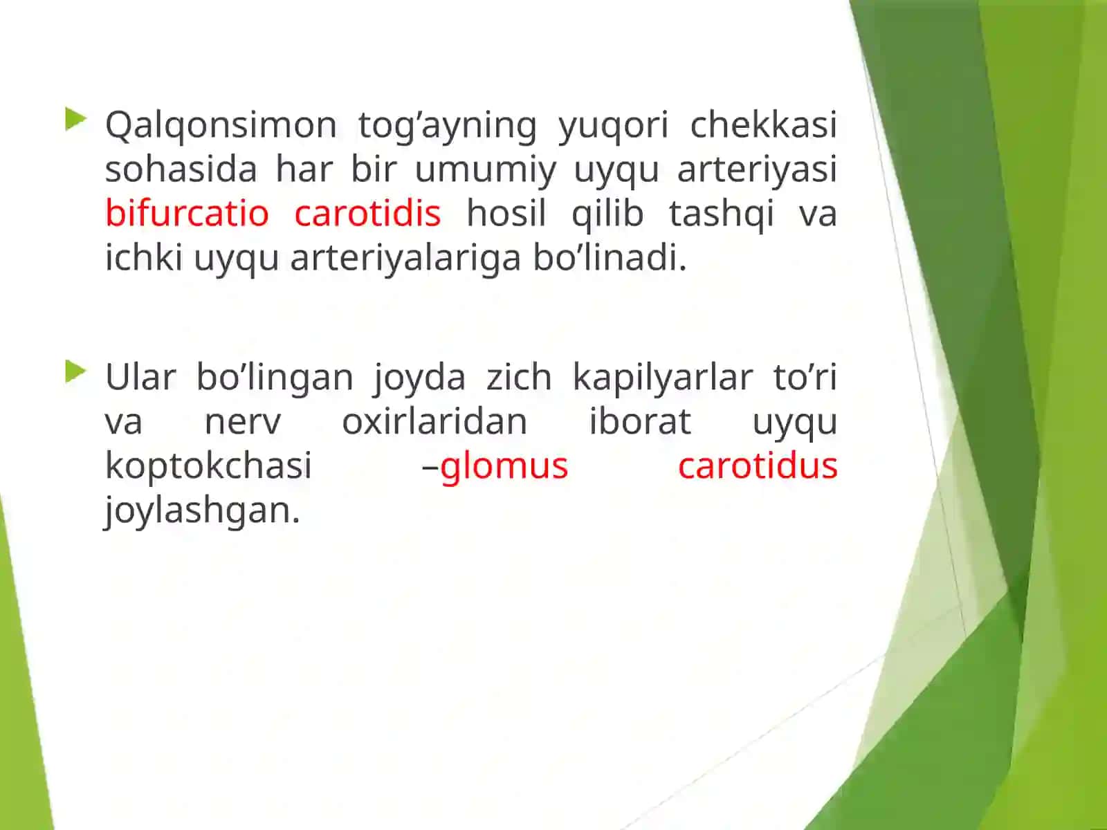 Boshmiyada qon aylanishi 3