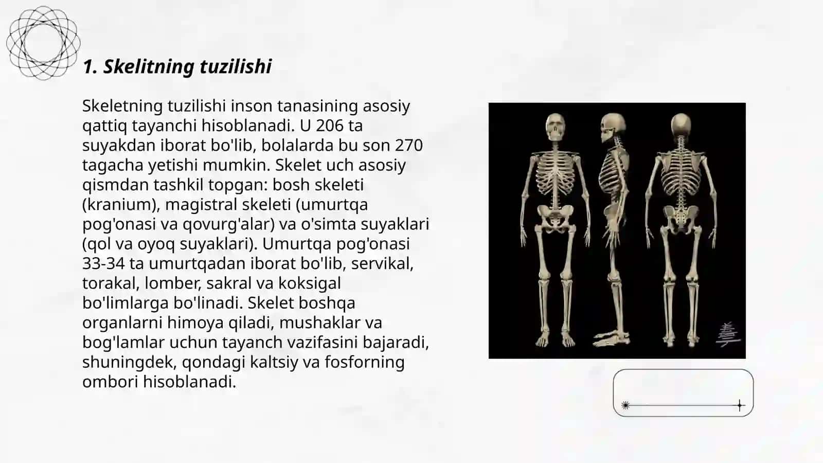 Tana skeliti 3