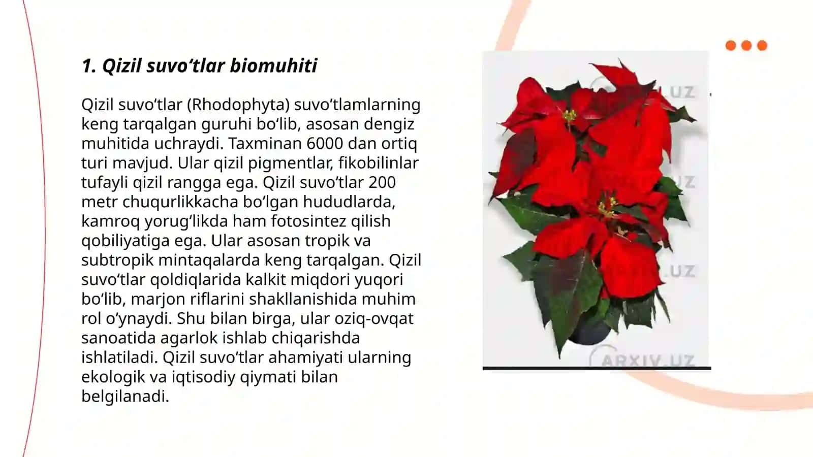 Qizil suvoʻtlar biomuhiti 3