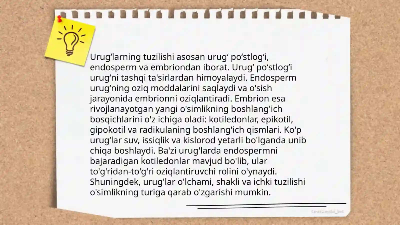 Urugʻlarning unib chiqishi haqida maʼlumot 3