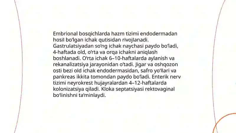 Hazm tizimi onto-filogenezi 3