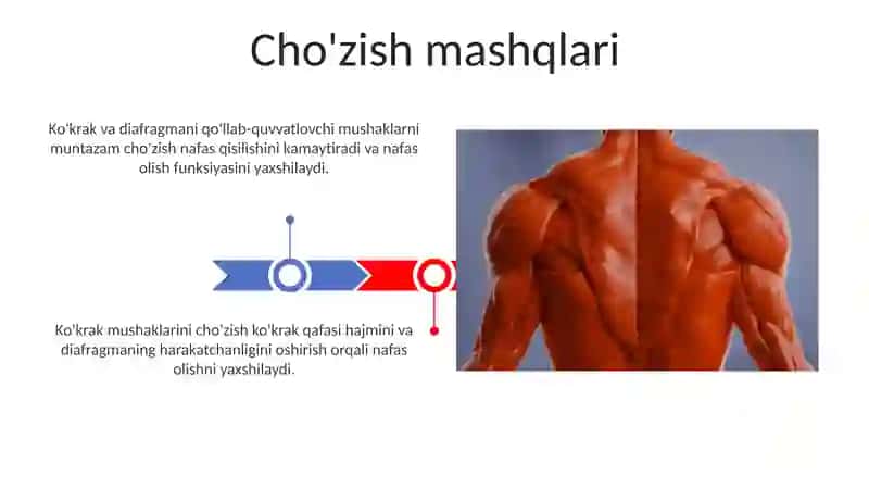Ko’krak muskullari diafragmasi 3