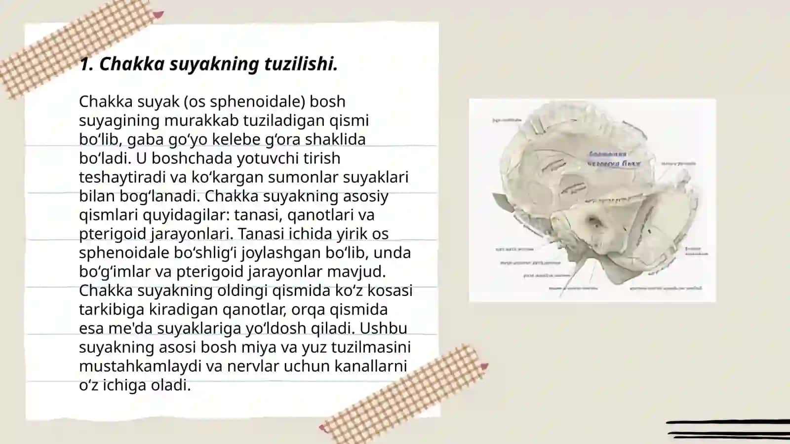 CHakka suyakning yoshga va jinsga qarab oʻzgarishi 3