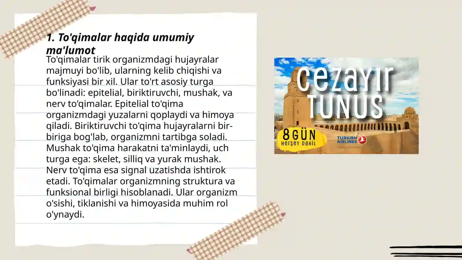 To'qimalar, ularning turlari va vazifalari 3