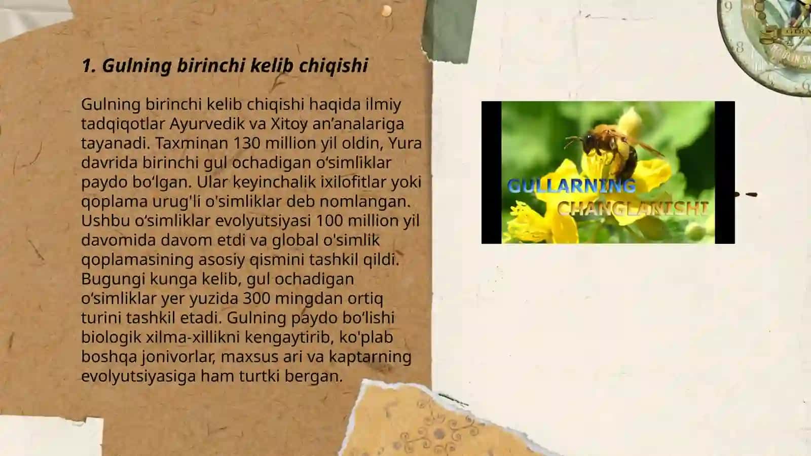 Gulning birinchi kelib chiqishi 3