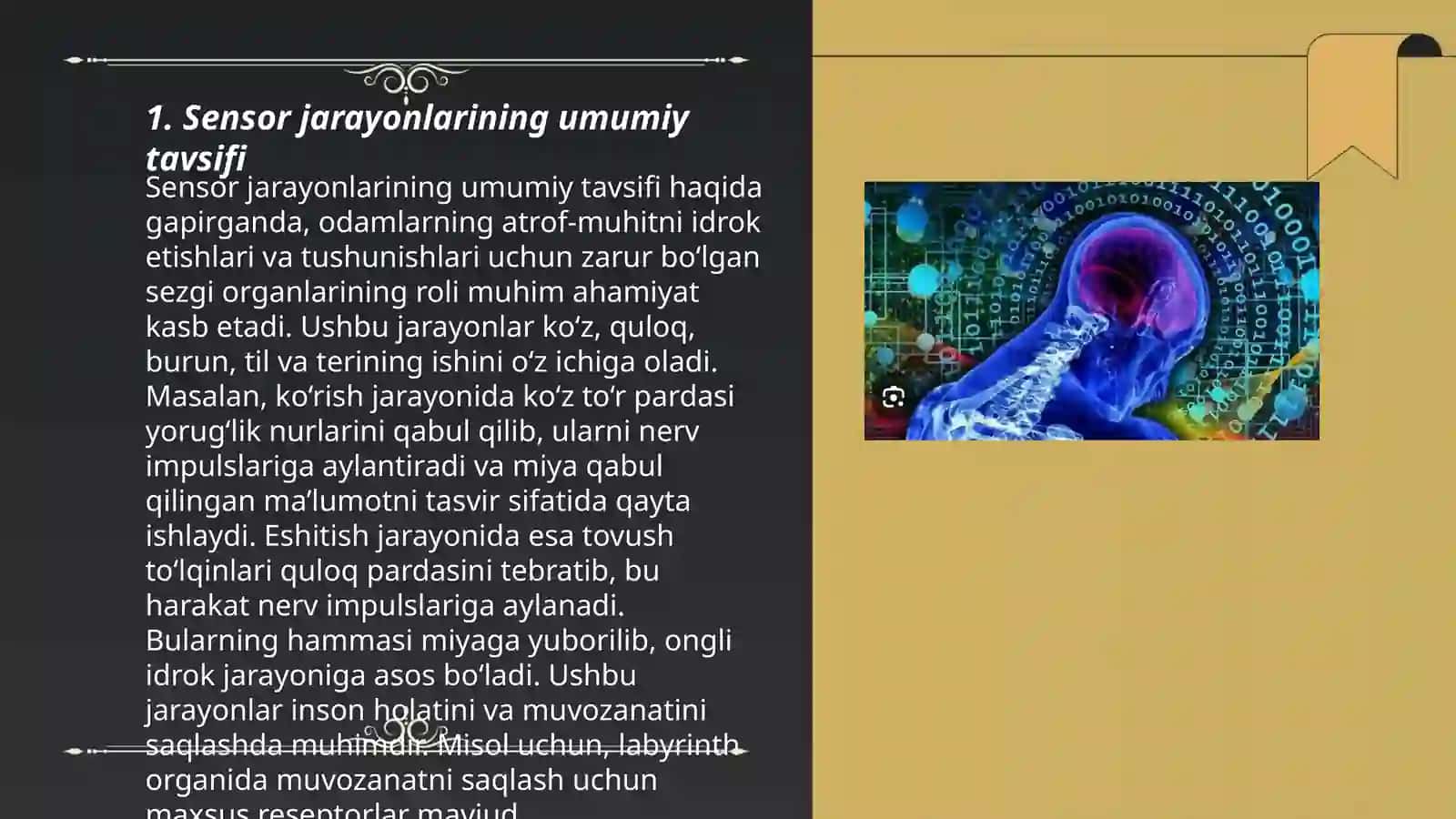 Sensor jarayonlar psixofiziologiyasi va sensor tizimining umumiy xususiyatlari 3