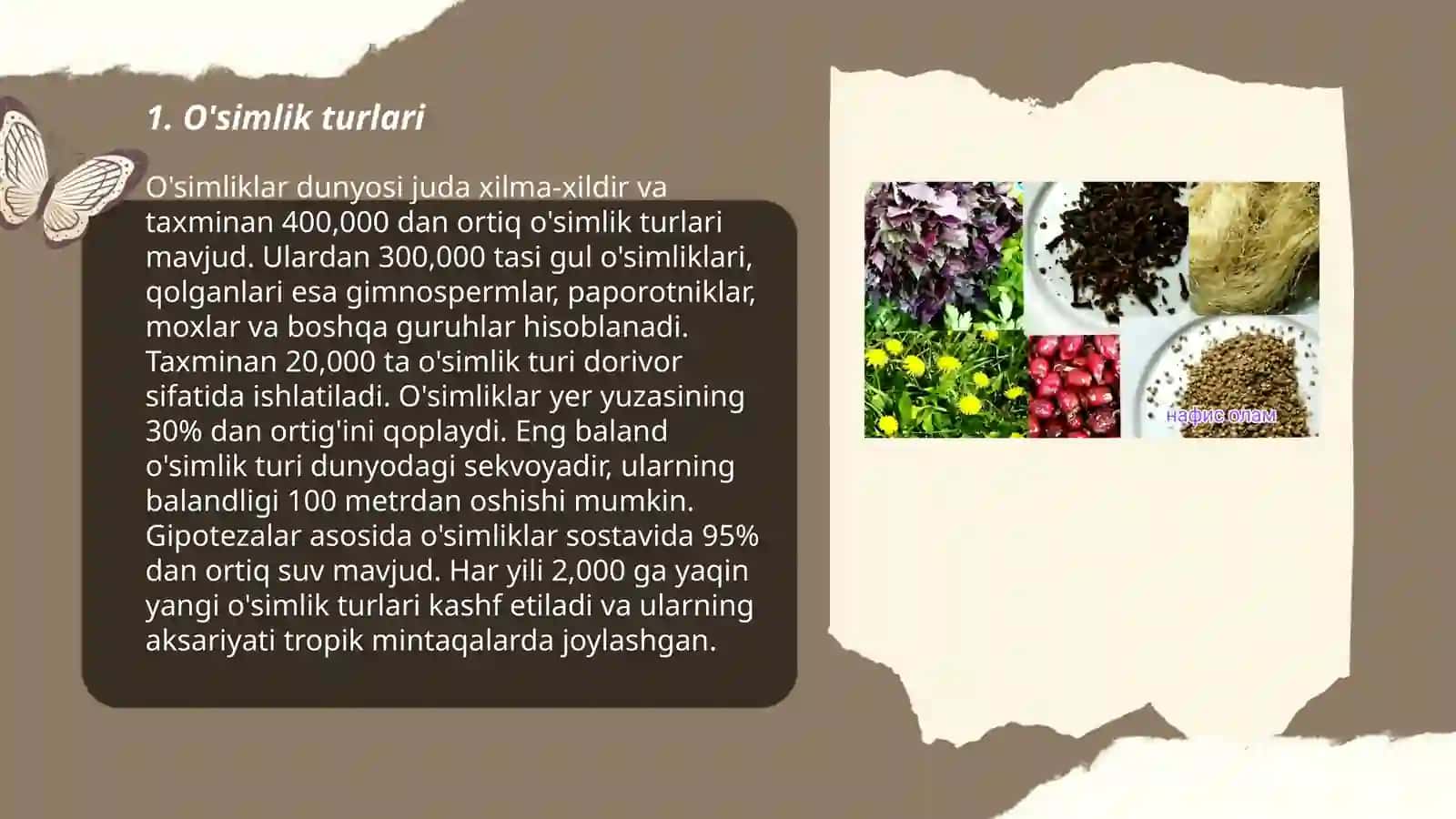 O'simlik dunyosi 3