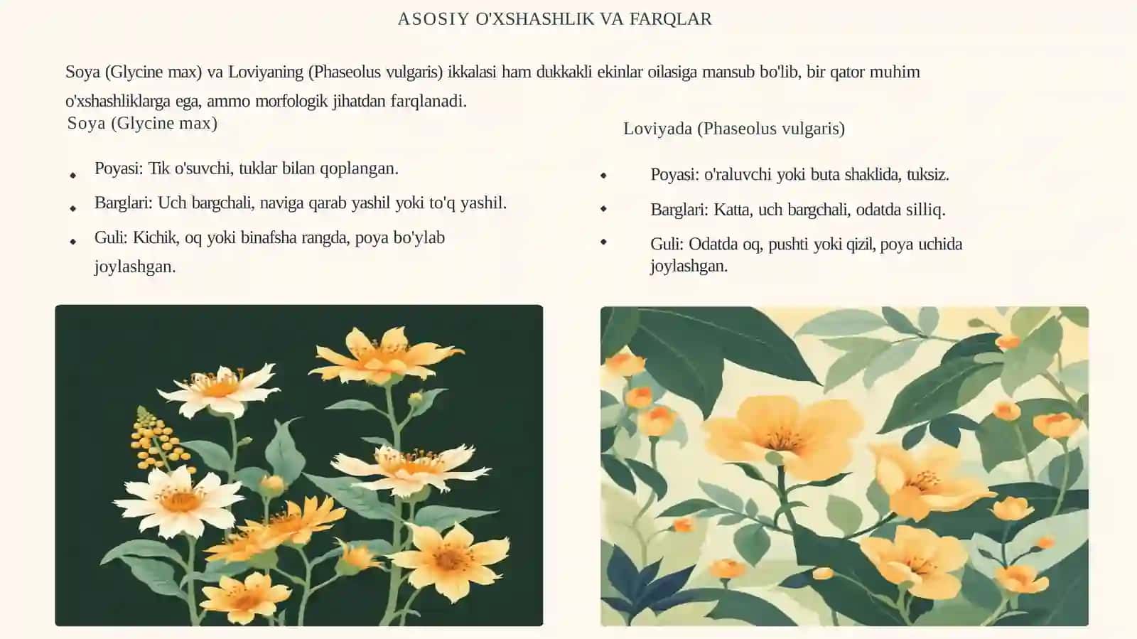 Soya va Loviyaning Asosiy Xususiyatlari 3