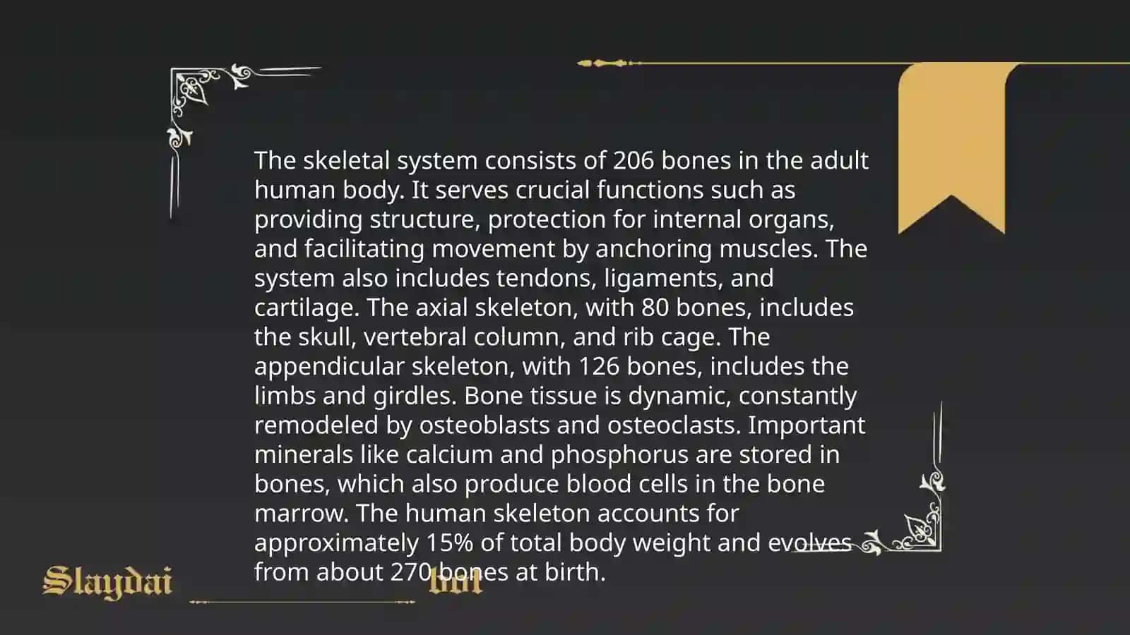 System of the Human Body 3