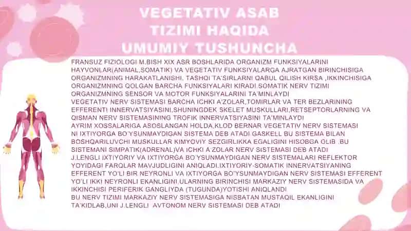 Vegetativ nerv sistemasi 3