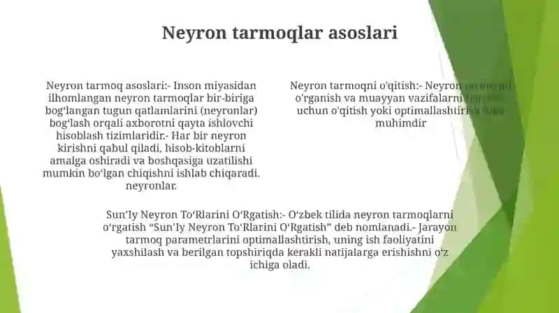 Sun'iy Neyron Tarmoqlarini O'rgatish 3
