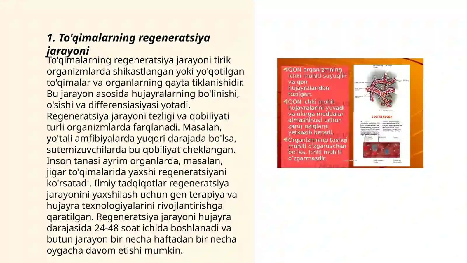 To'qima regeneratsiyasi mexanizmlari 3
