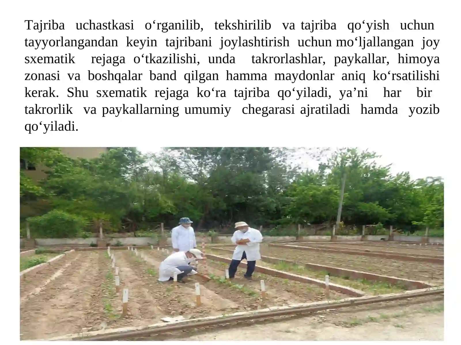 Dalaga tajriba qo‘yish texnikasi 3