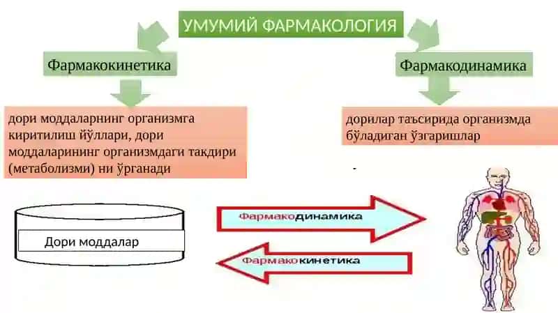 УМУМИЙ ФАРМАКОЛОГИЯ 3