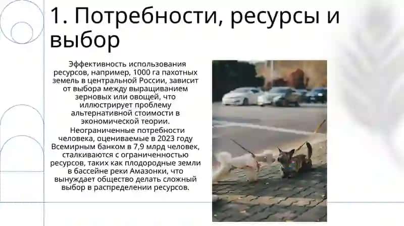 Введение в экономическую теорию 3