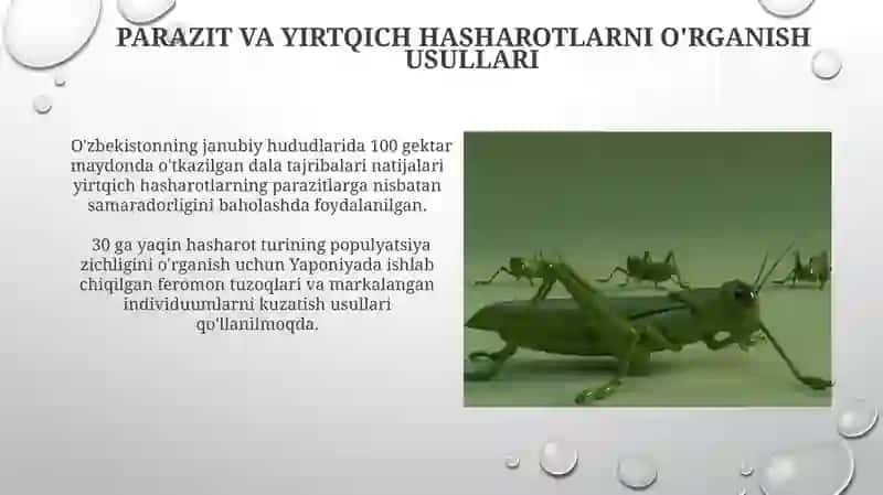 Parazit va Yirtqich Hasharotlar 3