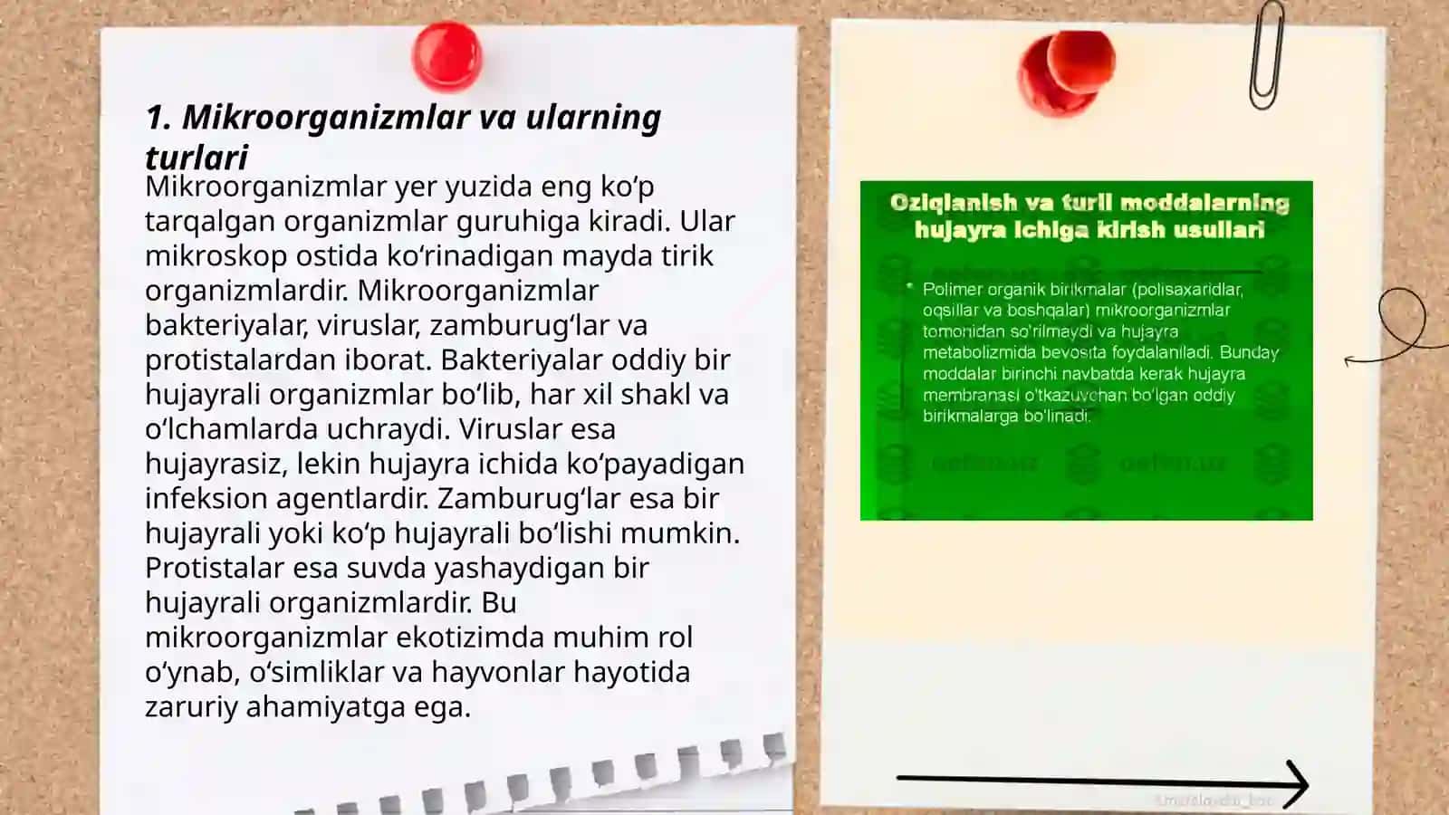 Mikroorganizmlarning tabiatda tarqalishi 3