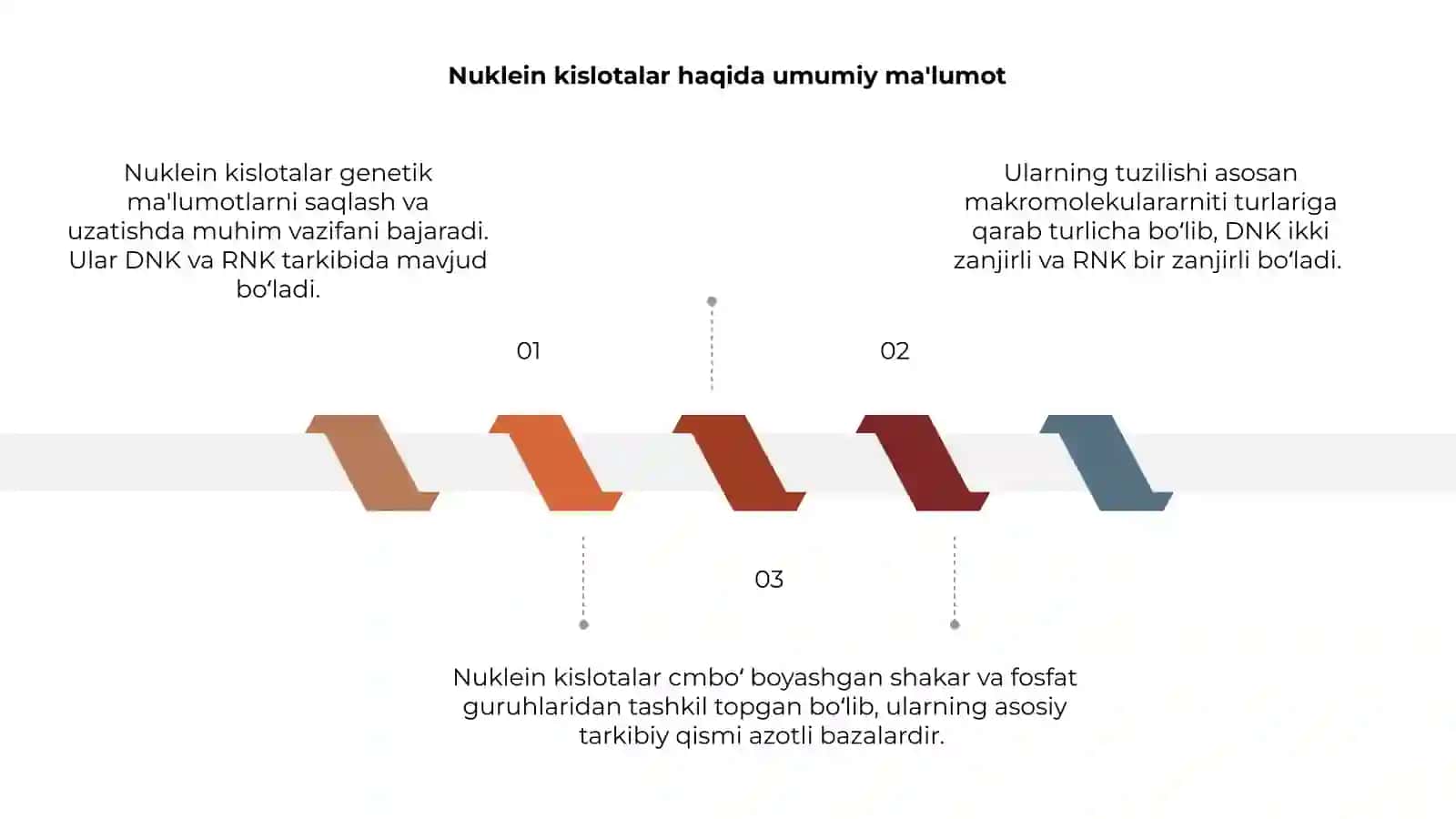 Nuklein kislotalarning tuzilishi 3