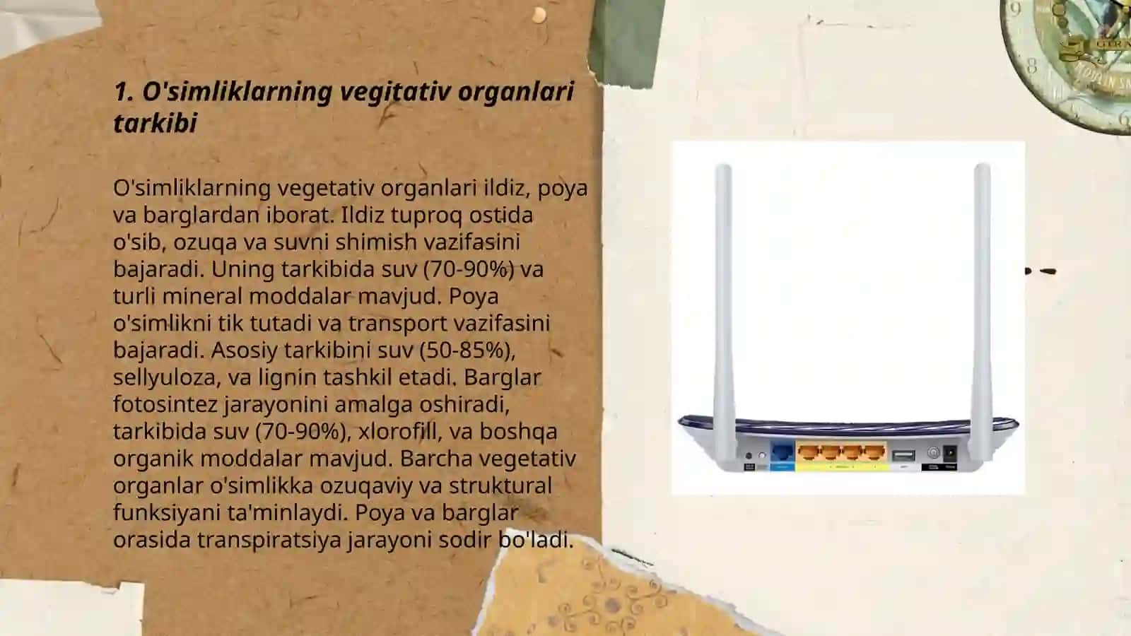 O'simliklar ekologiyasi 3