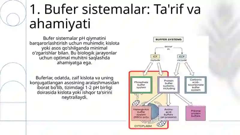 Bufer sistemalar 3