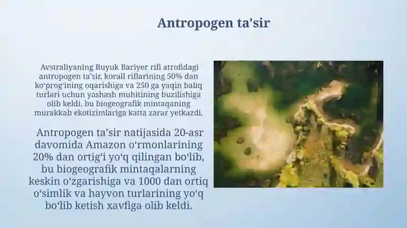 Biogeografik rayonlashtirish 3