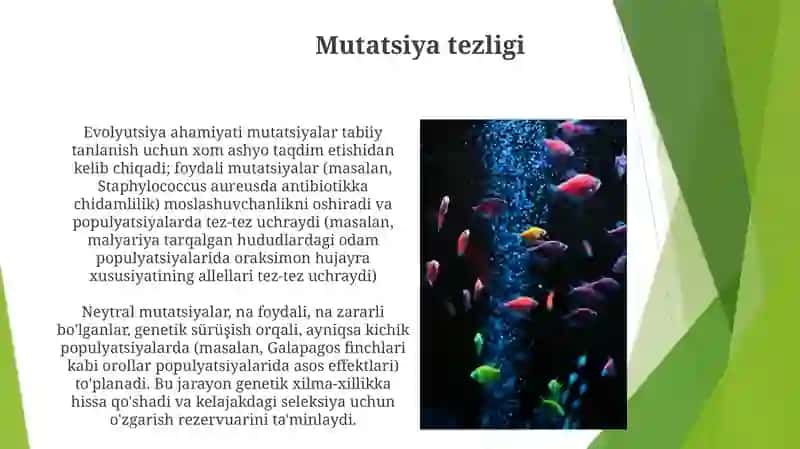 Gen mutatsiyalarining evolyutsion ahamiyati 3