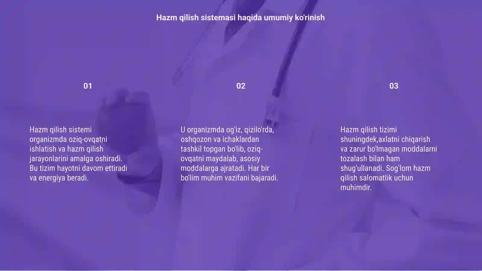 Hazm qilish sistemasi 3