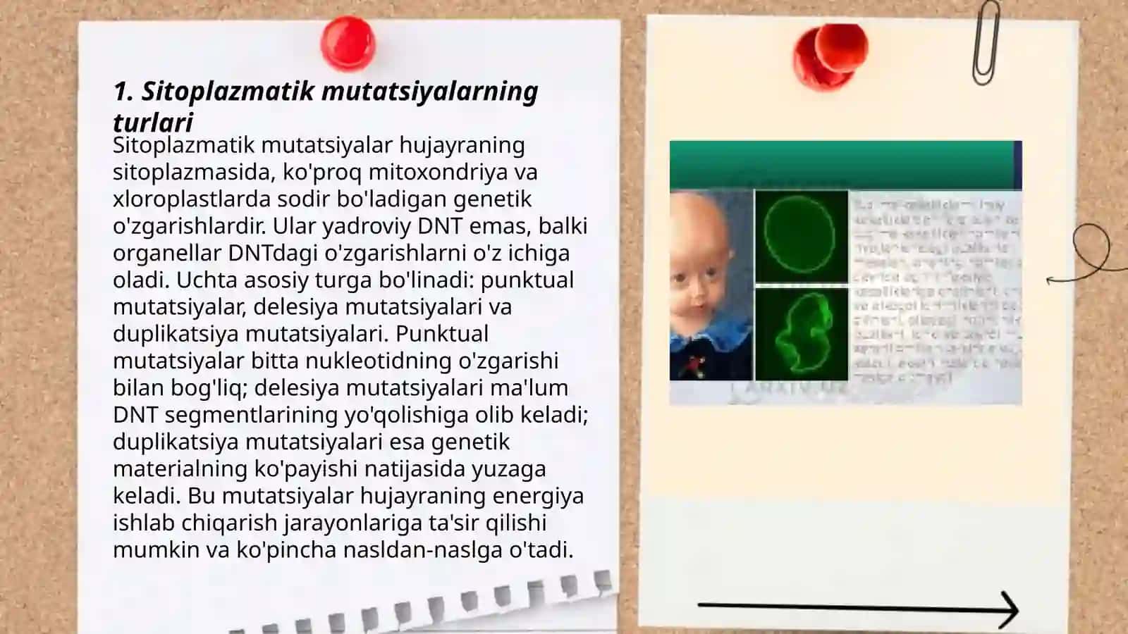 Sitoplazmatik mutatsiyalar 3