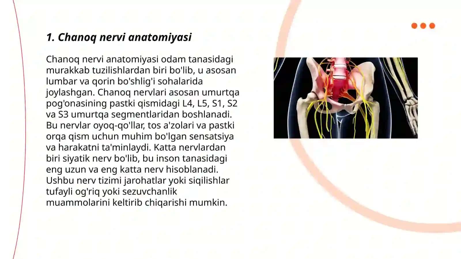 Chanoq nervi anatomiyasi 3