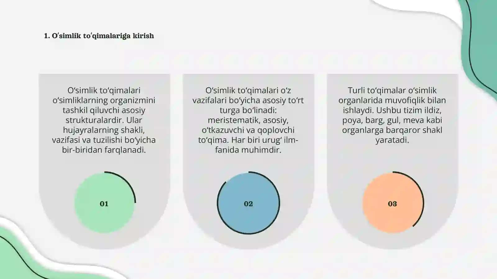 Oʻsimlik toʻqimalari va organlari 3