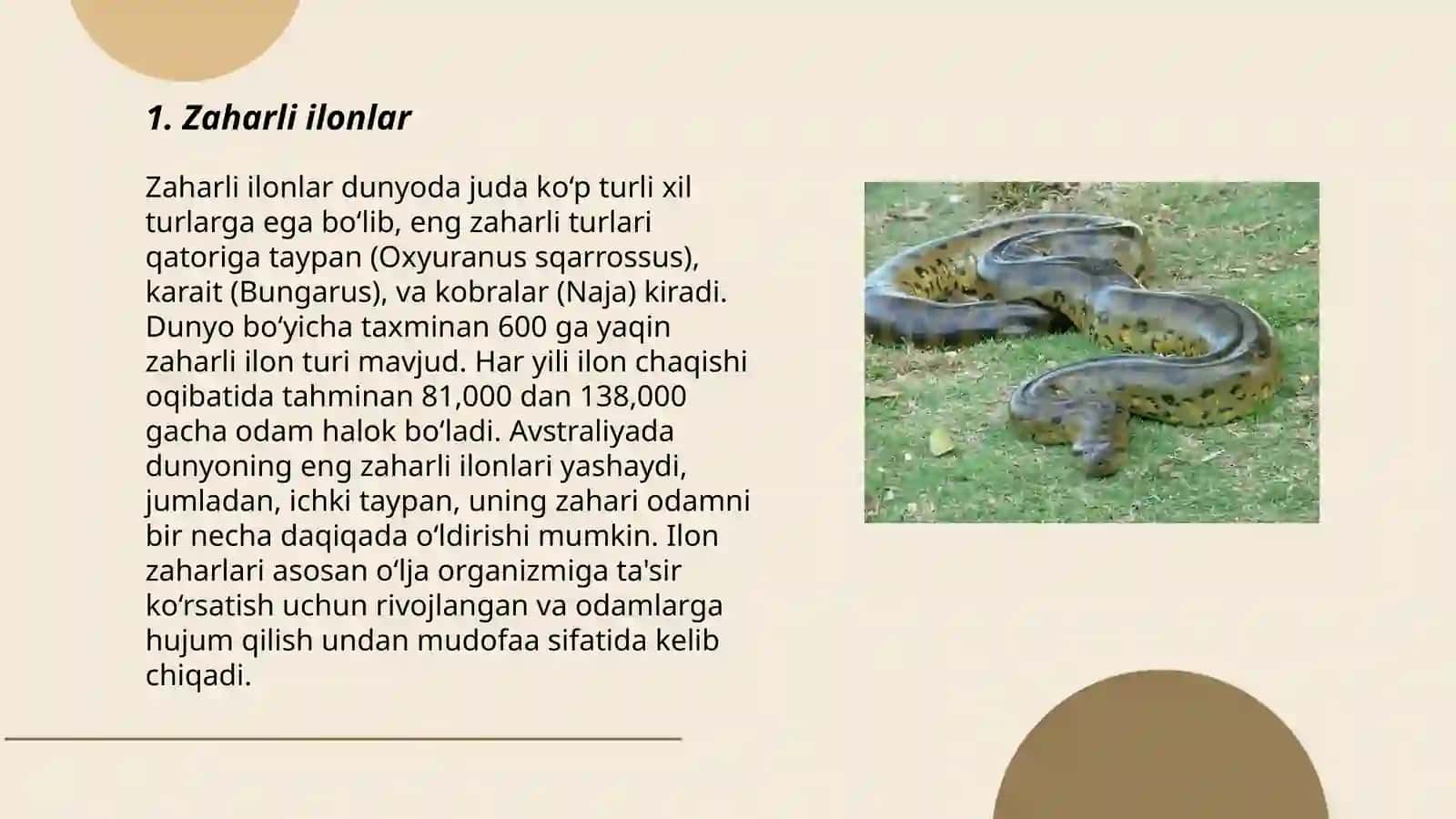 Zaharli hayvonlar 3