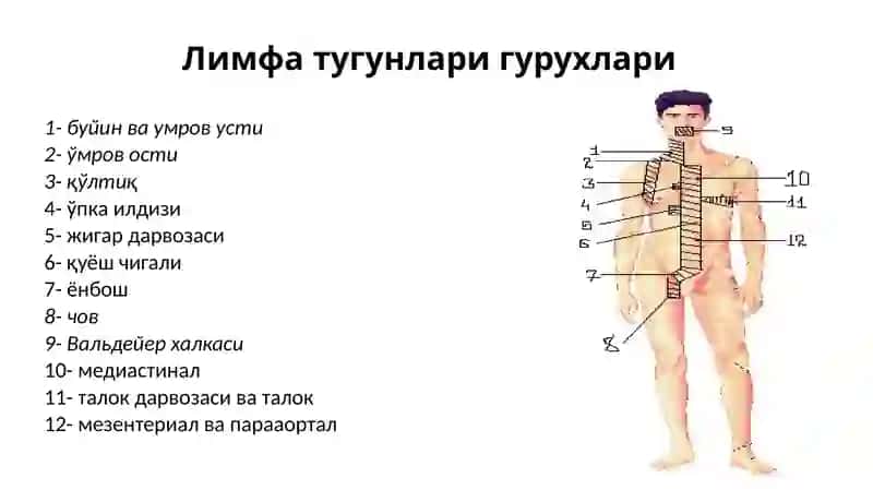Болаларда хавфлилимфомалар(Лимфогранулематозвалимфасаркомалар) 3