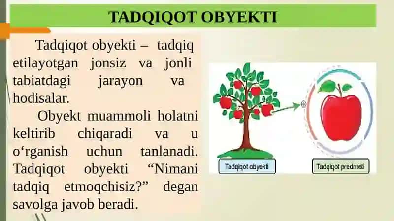 TABIIY FANLARNING TADQIQOT OBYEKTI 3