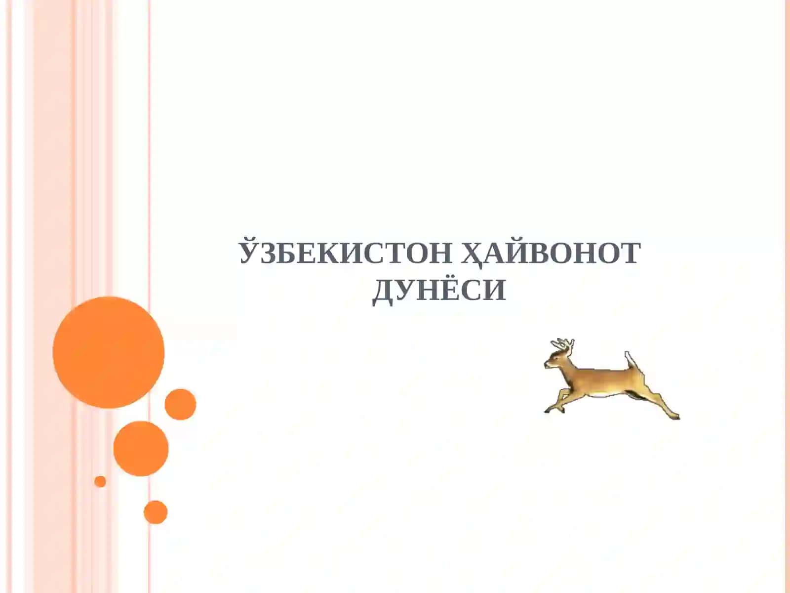 ЎЗБЕКИСТОН ҲАЙВОНОТ ДУНЁСИ 3