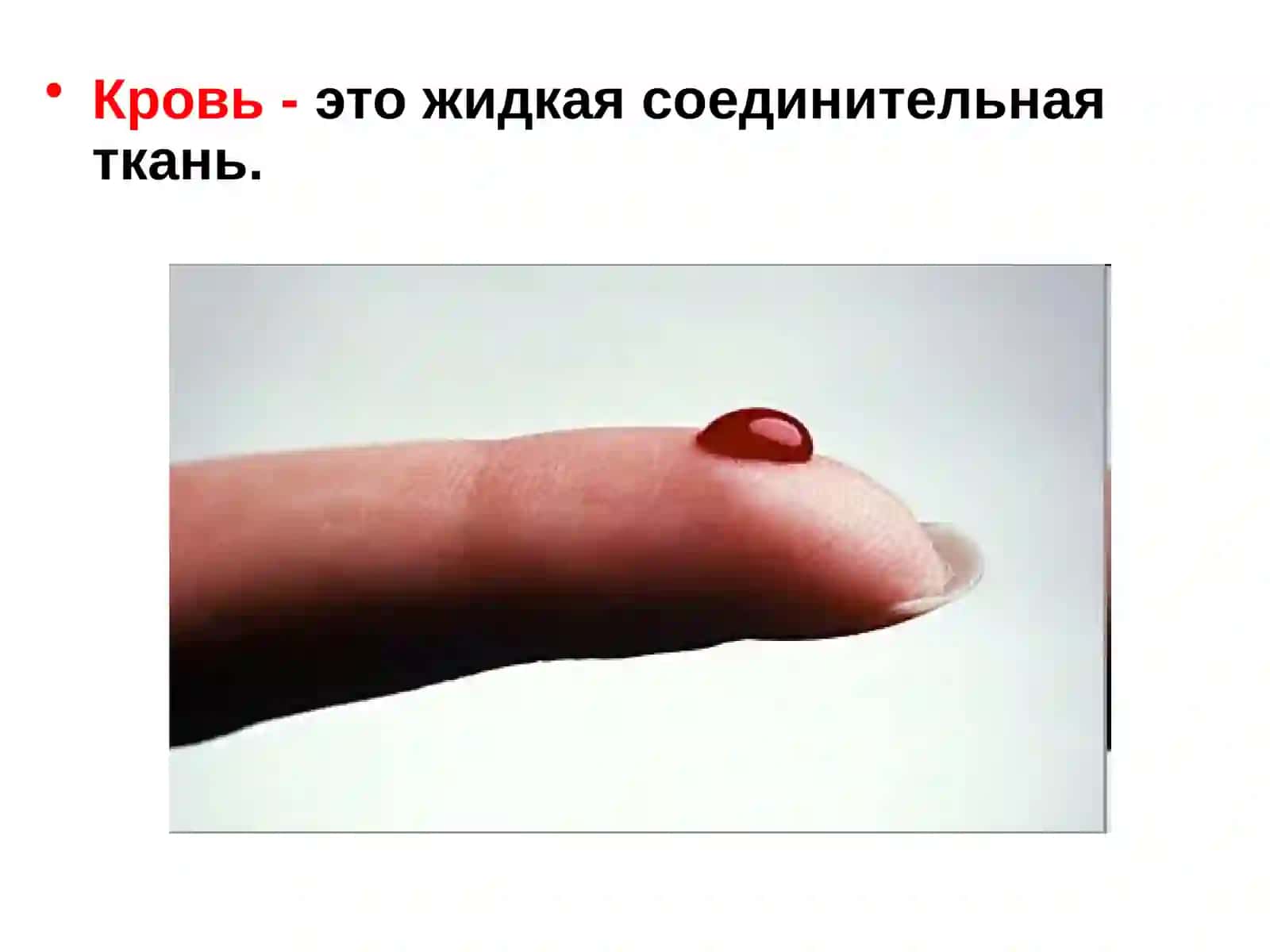 Состав, свойства и функции крови 3