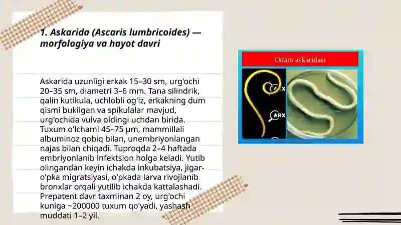 Yumaloq chuvalchanglar 3