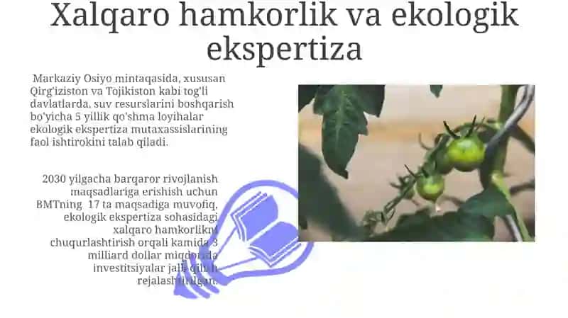Ekologik Ekspertiza 3