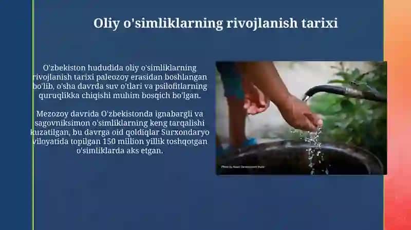 O'zbekiston oliy o'simliklarining rivojlanishi 3