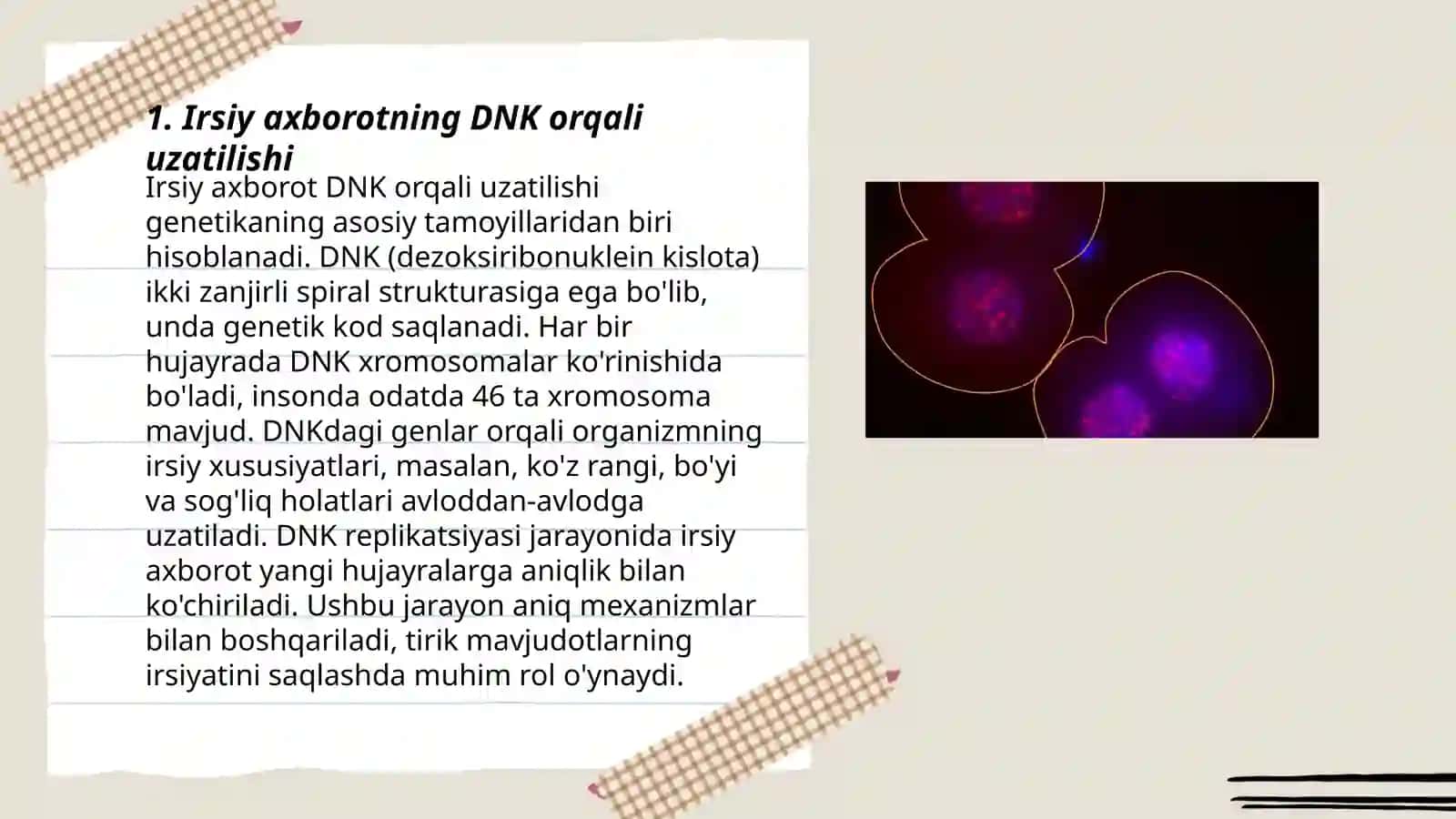Irsiyatning molekulyar asoslari 3