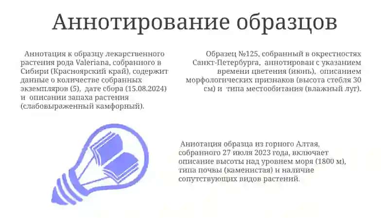 Гербарий 3