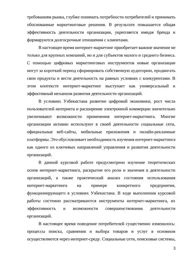 Интернет-маркетинг в деятельности организации 3