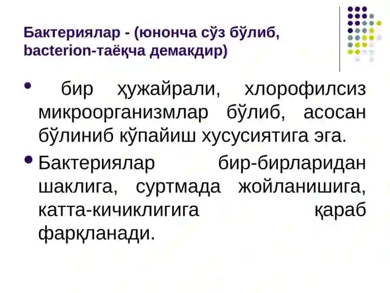 Микробиология, вирусология ва иммунология фани,унинг максади ва вазифалари. Микроорганизмларнинг морфологияси 3